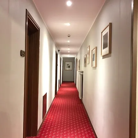 Hotel San Giorgio 3*