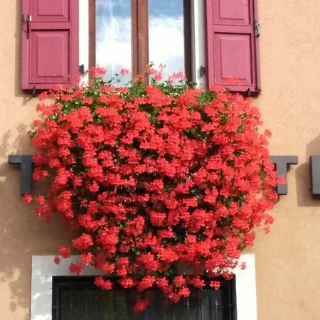 San Giorgio 3* أوديني