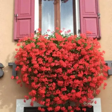 מלון San Giorgio 3*