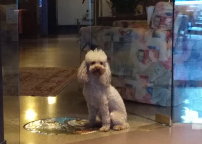 فندق San Giorgio