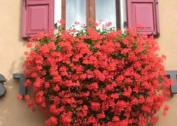 فندق San Giorgio 3*